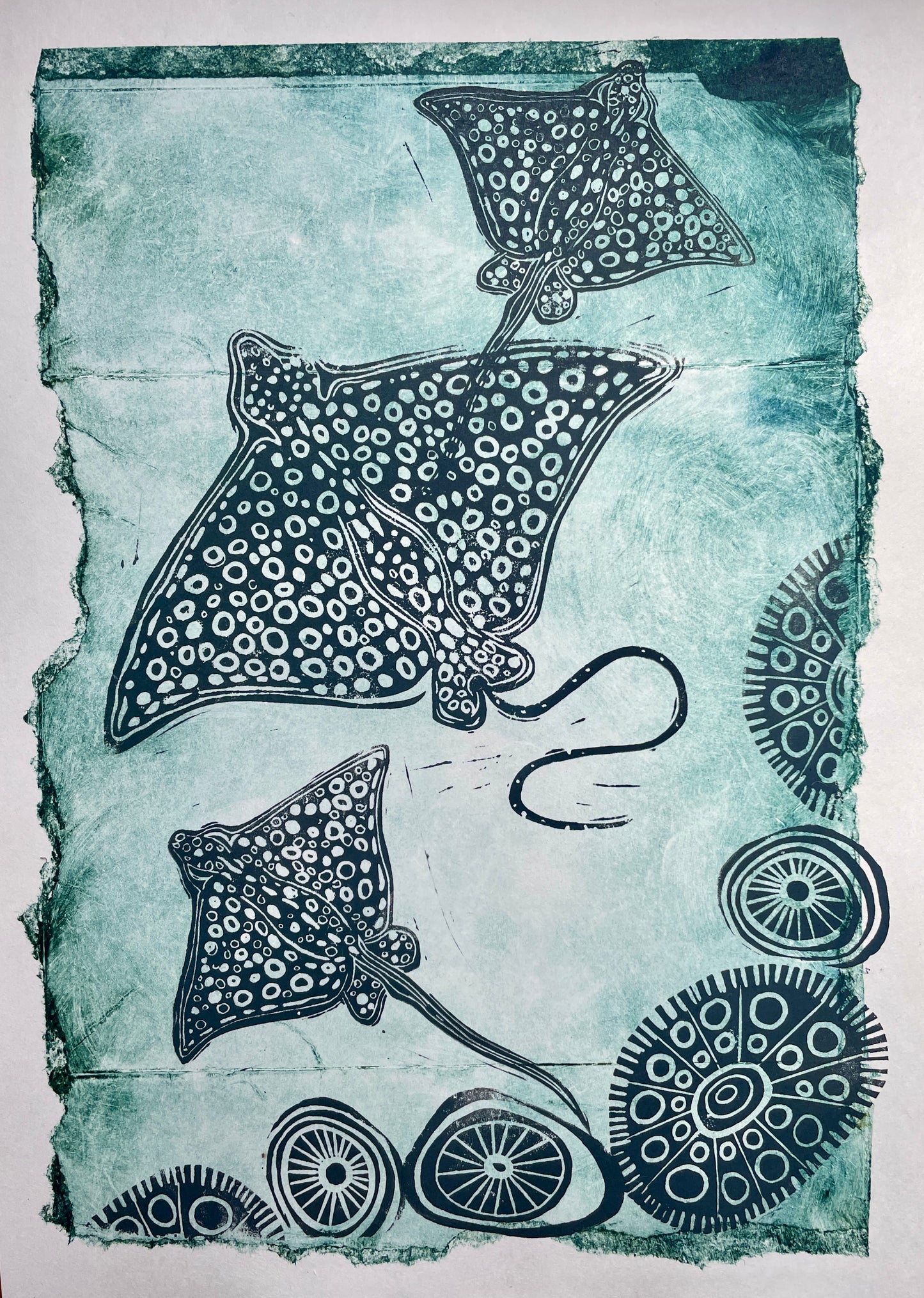 Whai (stingray)