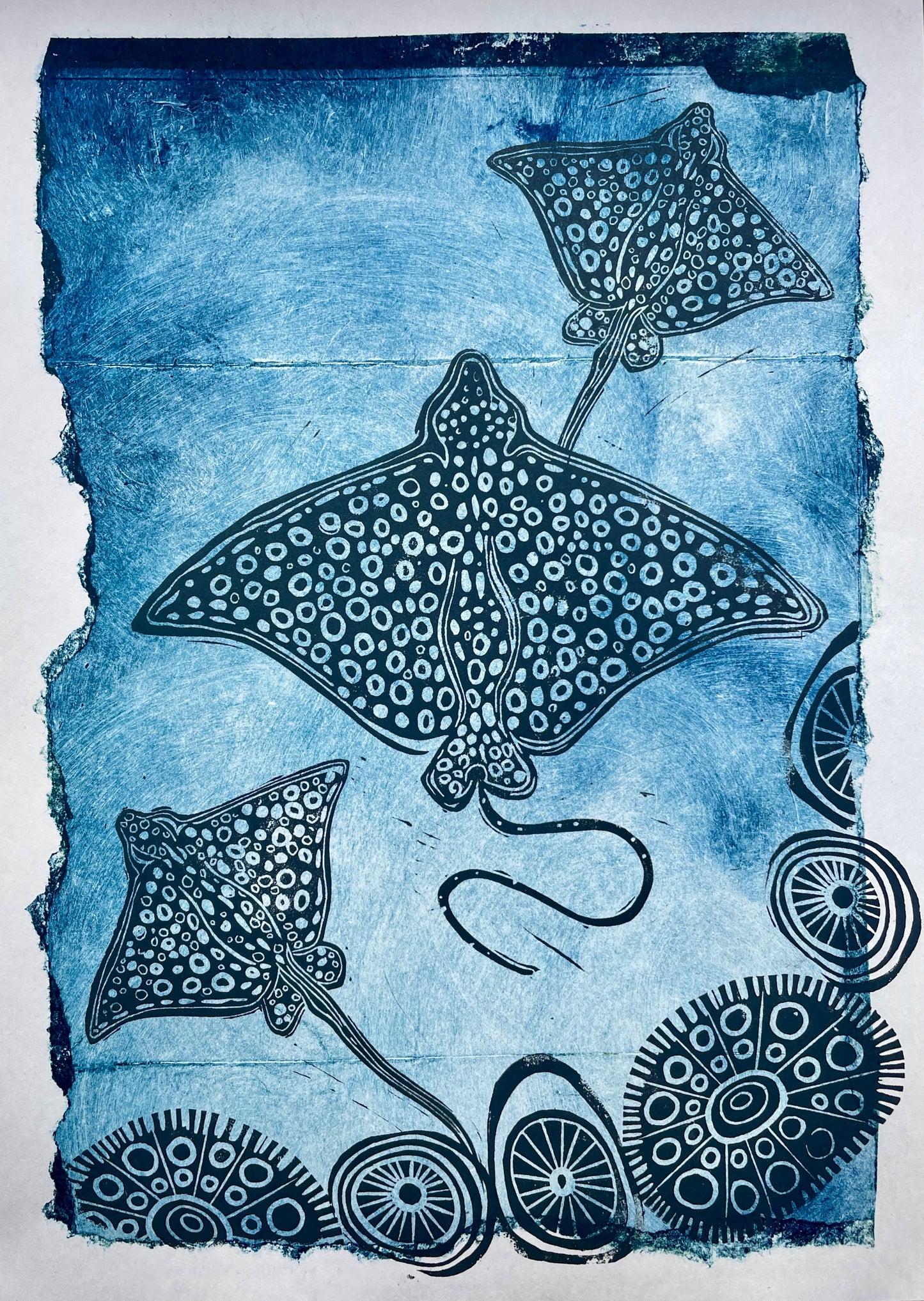 Whai (stingray)